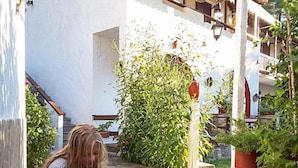 Niño acariciando un gato en un patio empedrado con un edificio blanco y follaje al fondo.