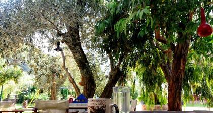 Spiros rooms