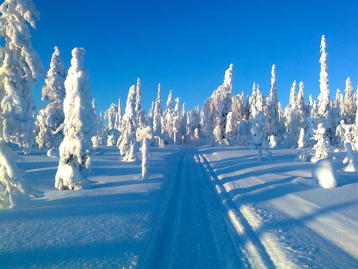 Foto - Arctic Guesthouse & Igloos