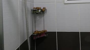 Shower, free toiletries, hair dryer, towels