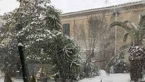 A snowy garden with various plants and a building in the background. - Hotel Le Lys d'Or (Vauvert)
