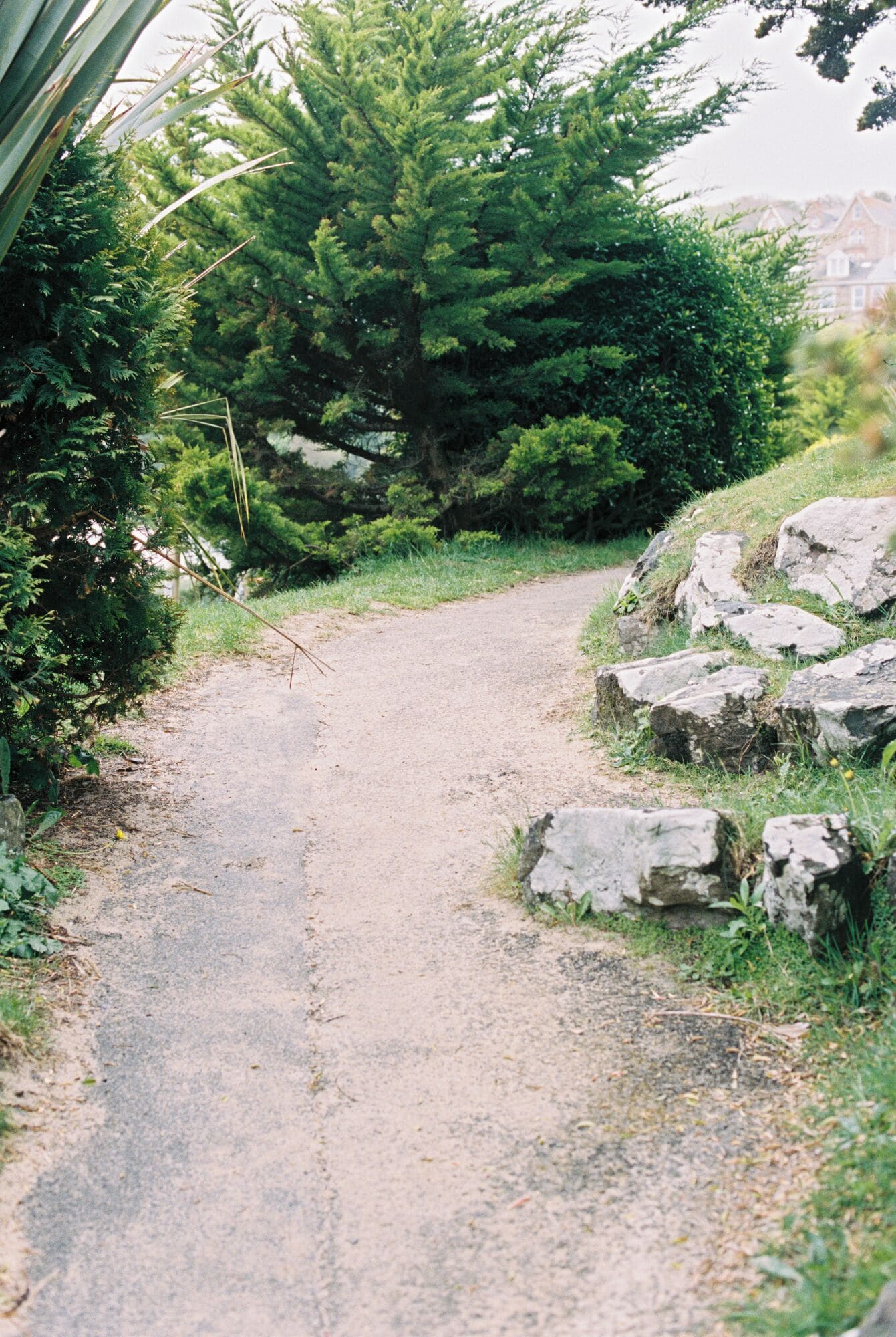 A gravel path leading through a wooded area with large rocks on the right side.