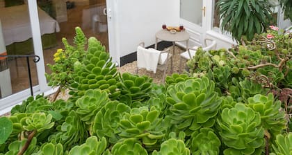 Sands Studio & Samphire Studio