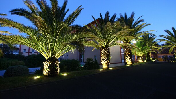 Une rue bordée de palmiers et un immeuble dont les fenêtres sont illuminées.