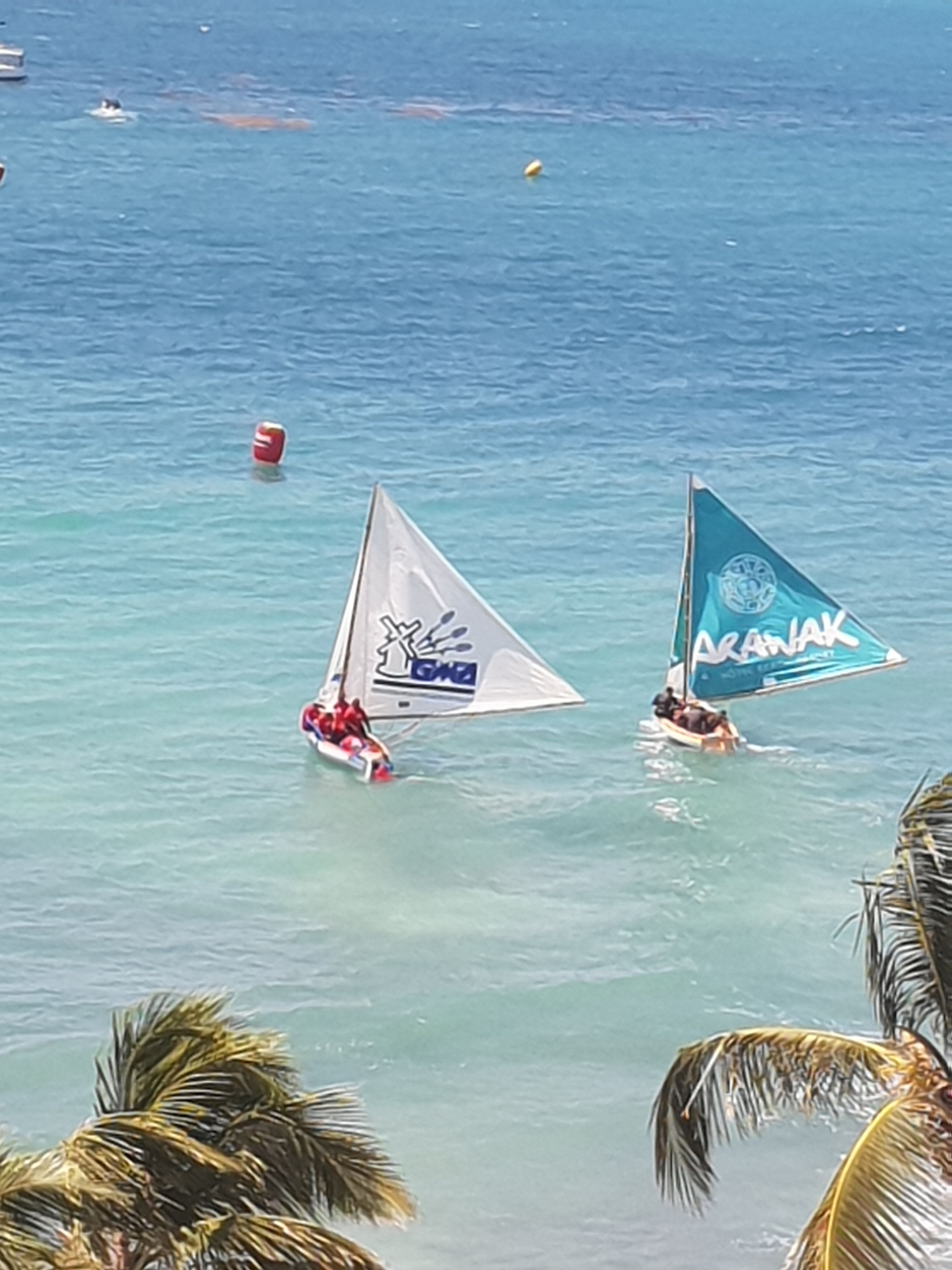 Dos veleros en un mar tranquilo con aguas cristalinas, rodeados de palmeras.