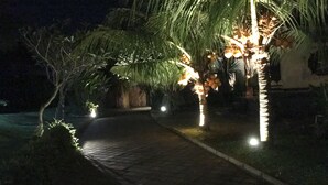 A nighttime pathway leading to a building with illuminated palm trees and a brick entrance.