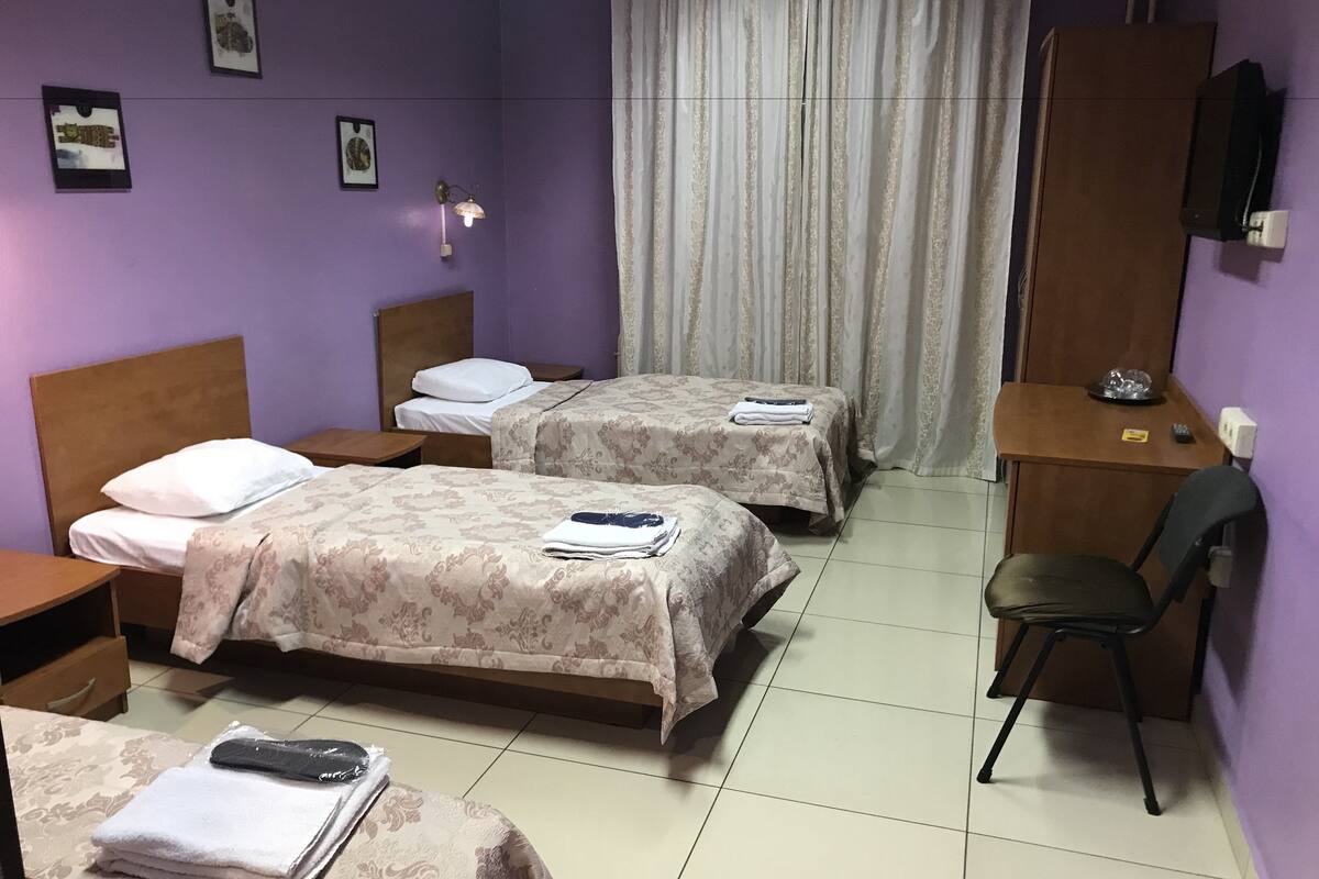 Standard trippelrum - privat badrum | Strykjärn/strykbräda och gratis wi-fi