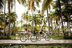Dos personas andando en bicicleta por un sendero bordeado de palmeras y nenúfares.