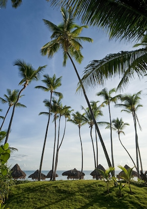 Relax among swaying palm trees and tranquil ocean views.