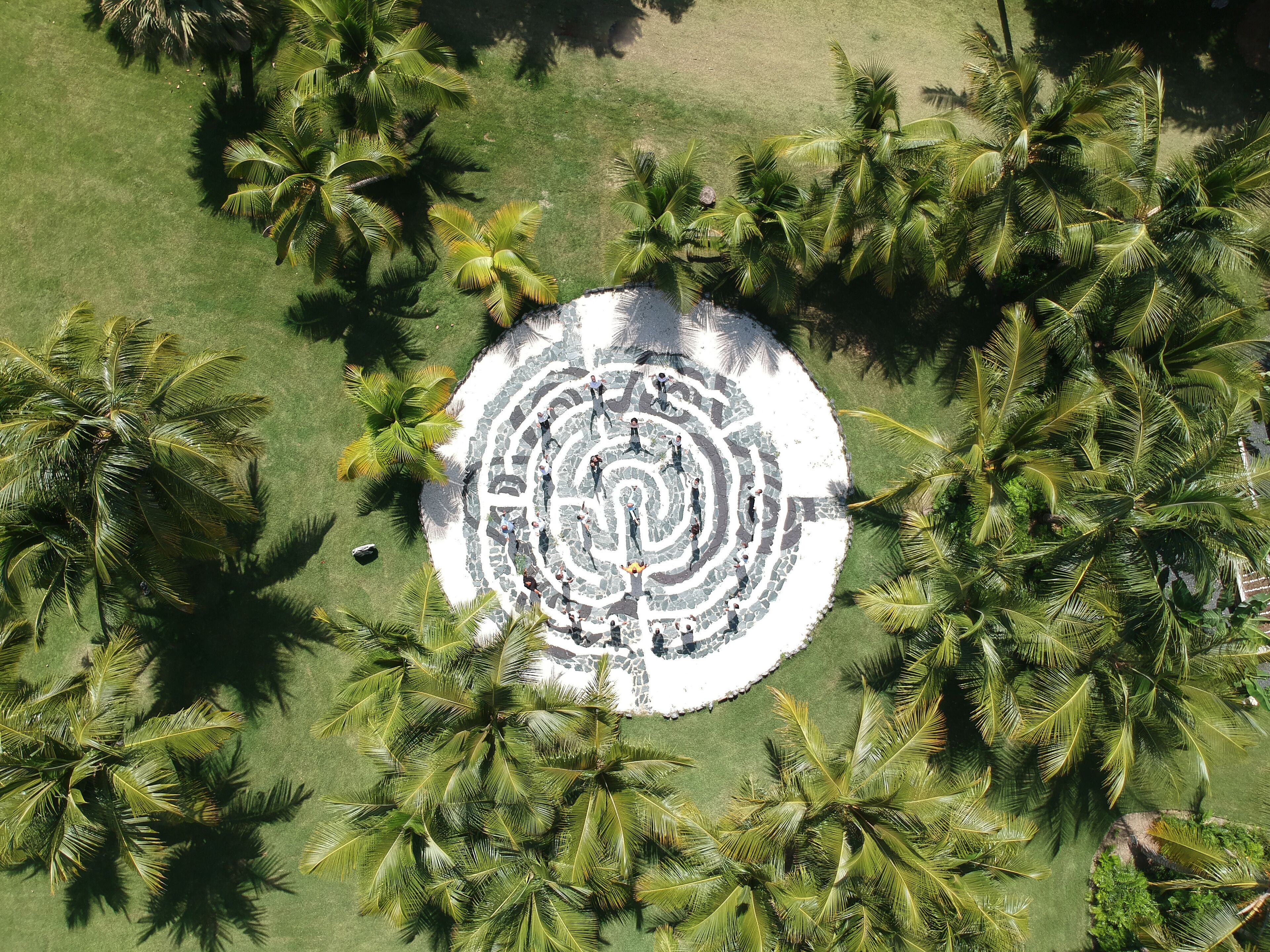 An aerial view of a circular stone labyrinth surrounded by palm trees.