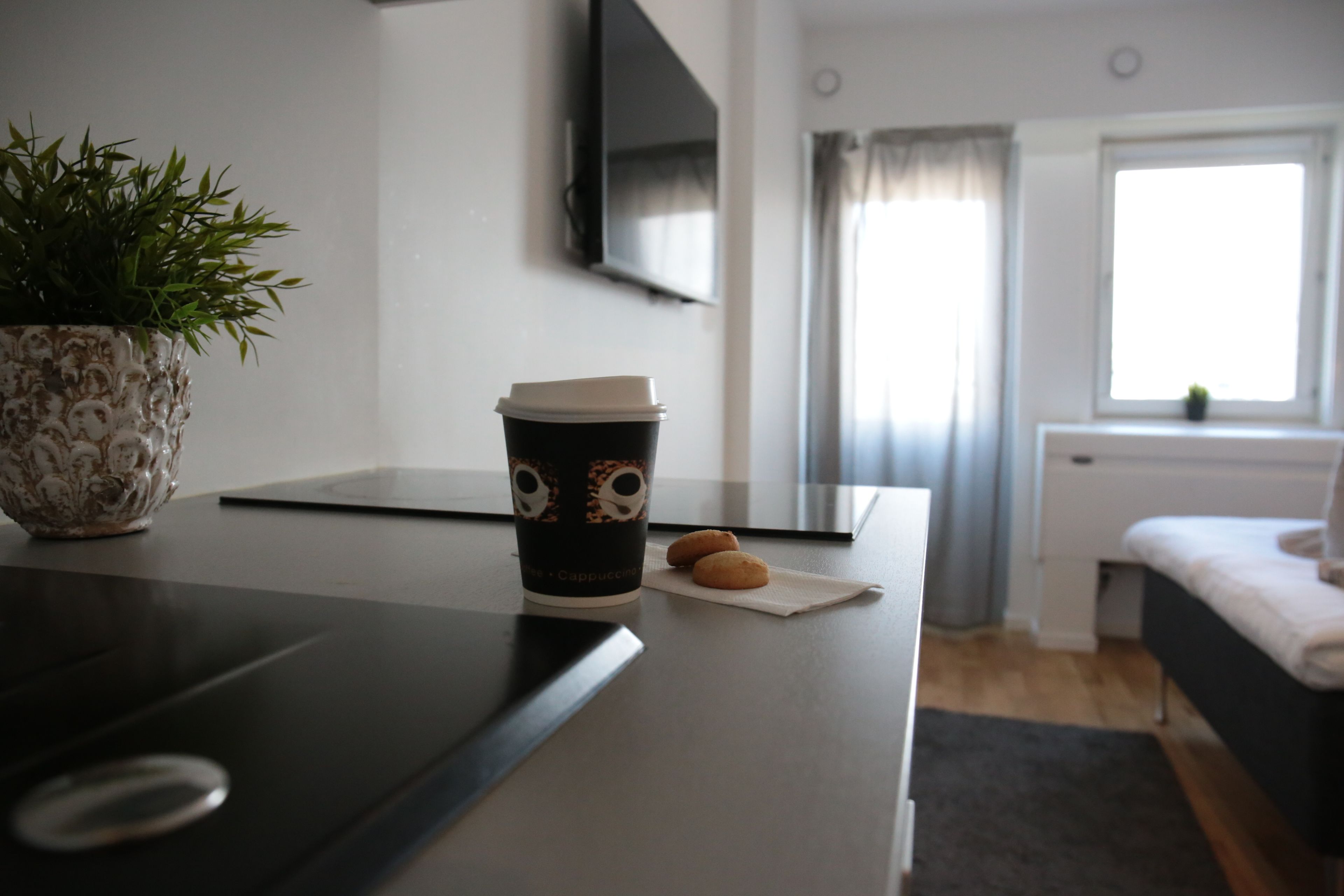 Quarto moderno com cama, mesa de cabeceira com xícara de café e biscoitos, planta em vaso e televisão fixada na parede.