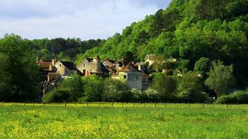 Un village rural aux maisons traditionnelles en pierre, entouré d’une végétation luxuriante et d’un champ de fleurs jaunes.