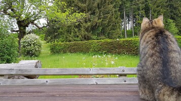 Vistas desde el alojamiento