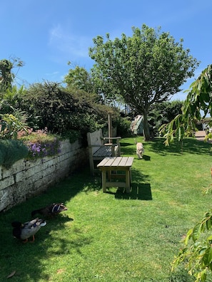 Garden - Ramsey House (Haverfordwest)