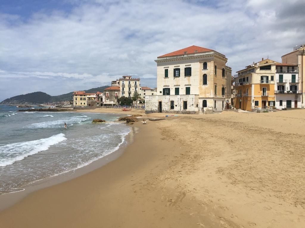Vista desde la propiedad