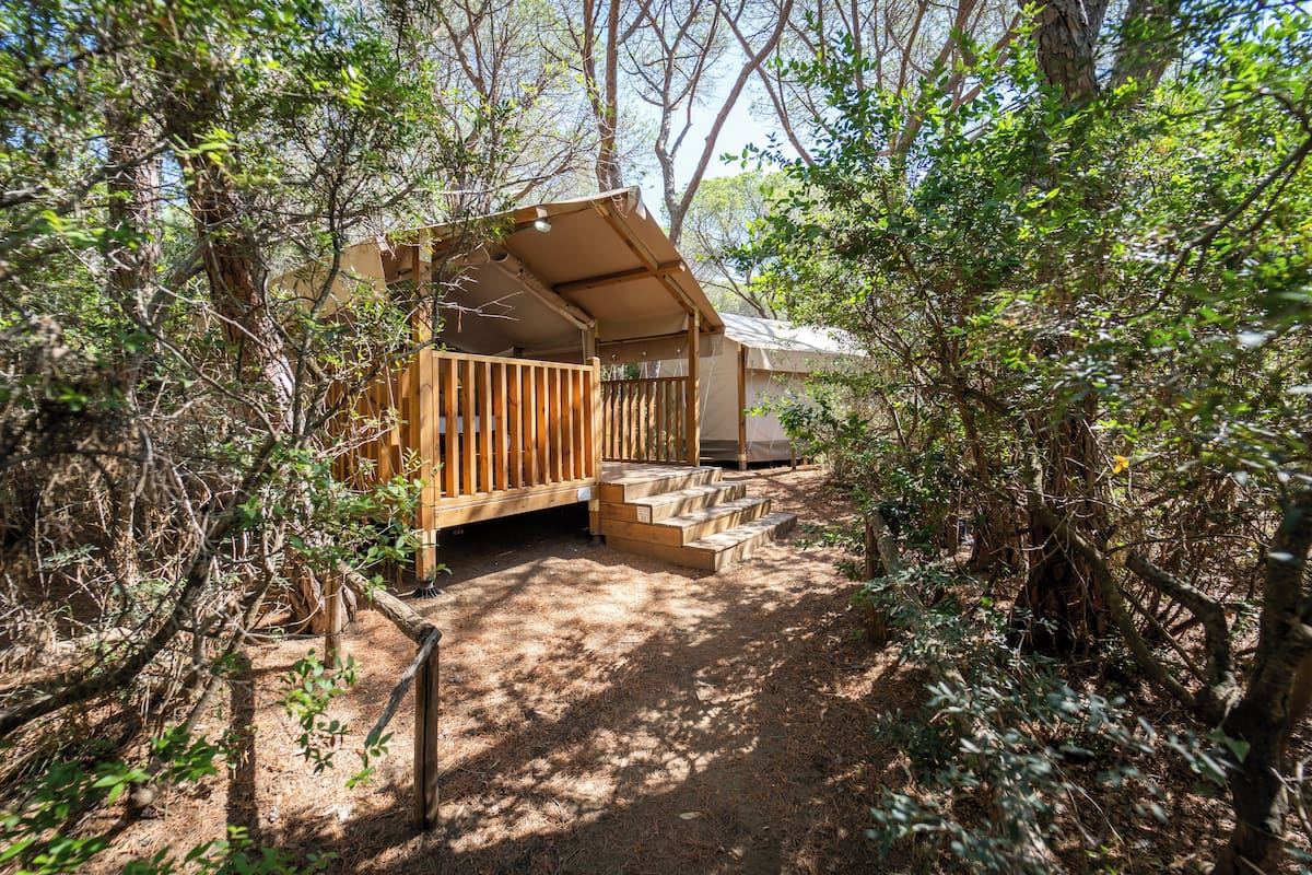 A wooden cabin with a covered porch and a dirt path leading to it, surrounded by dense trees.