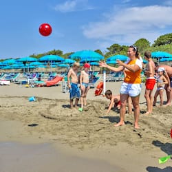 Private beach, sun-loungers, beach umbrellas, windsurfing