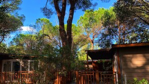 A wooden cabin with a deck and a thatched roof, surrounded by dense trees and a clear blue sky. - Camping Maremma Sans Souci (Castiglione della Pescaia)