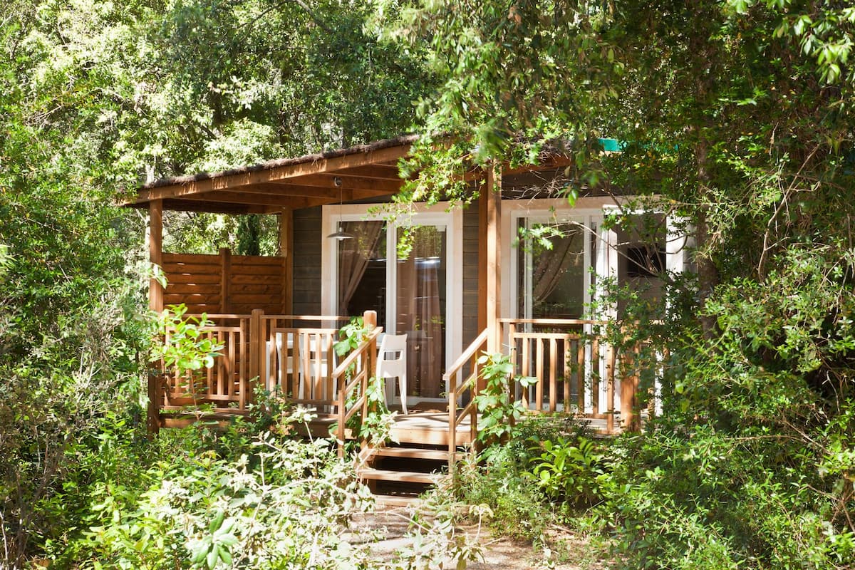 A wooden cabin with a porch, surrounded by dense greenery.