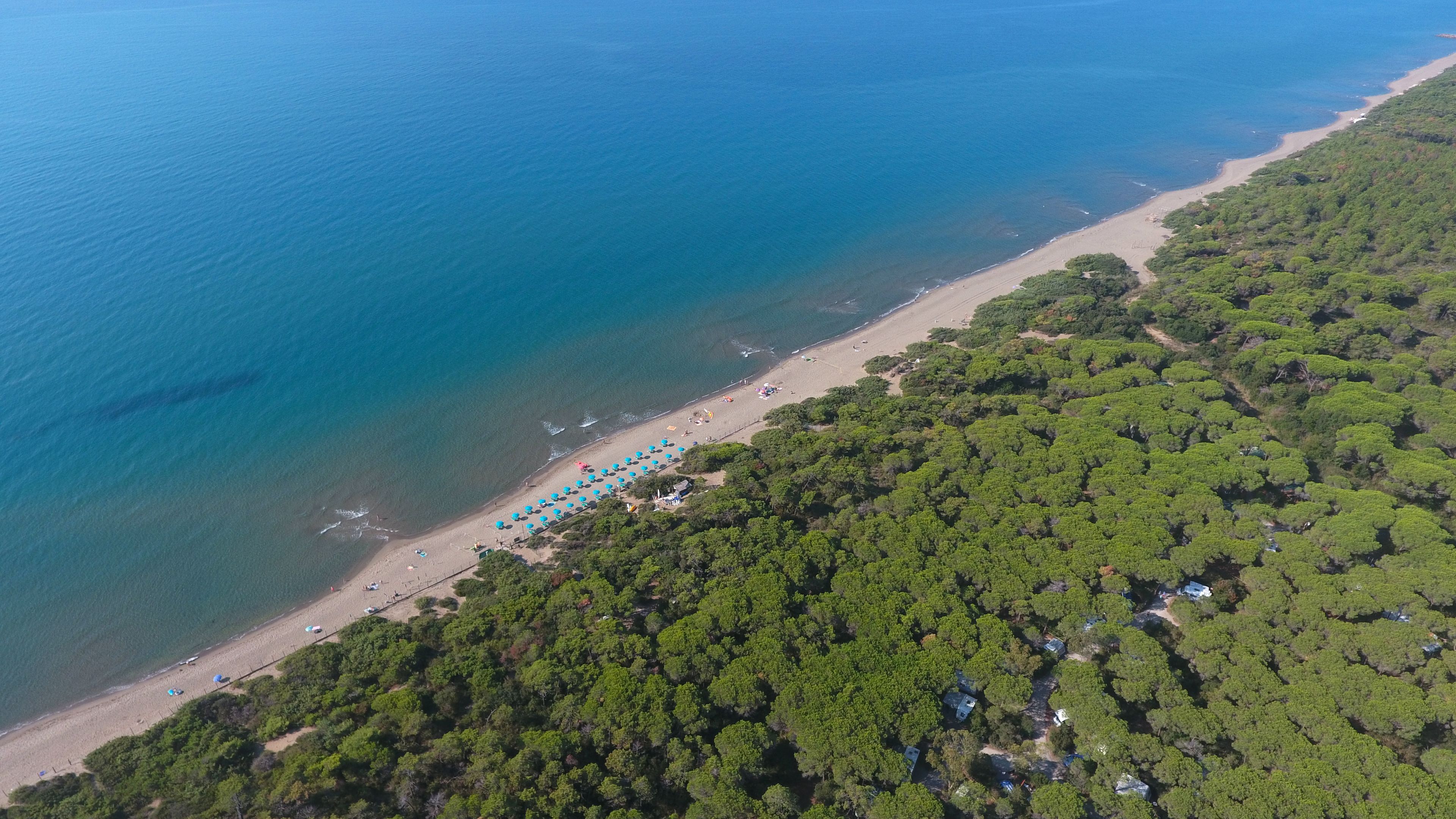 Eine Luftaufnahme eines Strandes, an dessen Seite ein dichter Wald und ein klares blaues Meer zu sehen sind.