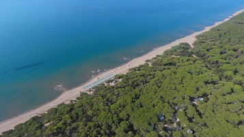 Eine Luftaufnahme eines Strandes, an dessen Seite ein dichter Wald und ein klares blaues Meer zu sehen sind.