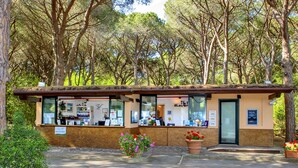 A small, single-story building with a thatched roof, surrounded by trees. It features a reception desk with informational posters and a small garden area with potted plants. - Camping Maremma Sans Souci (Castiglione della Pescaia)