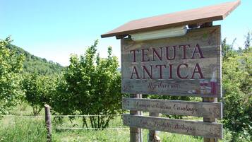 Pintu masuk properti