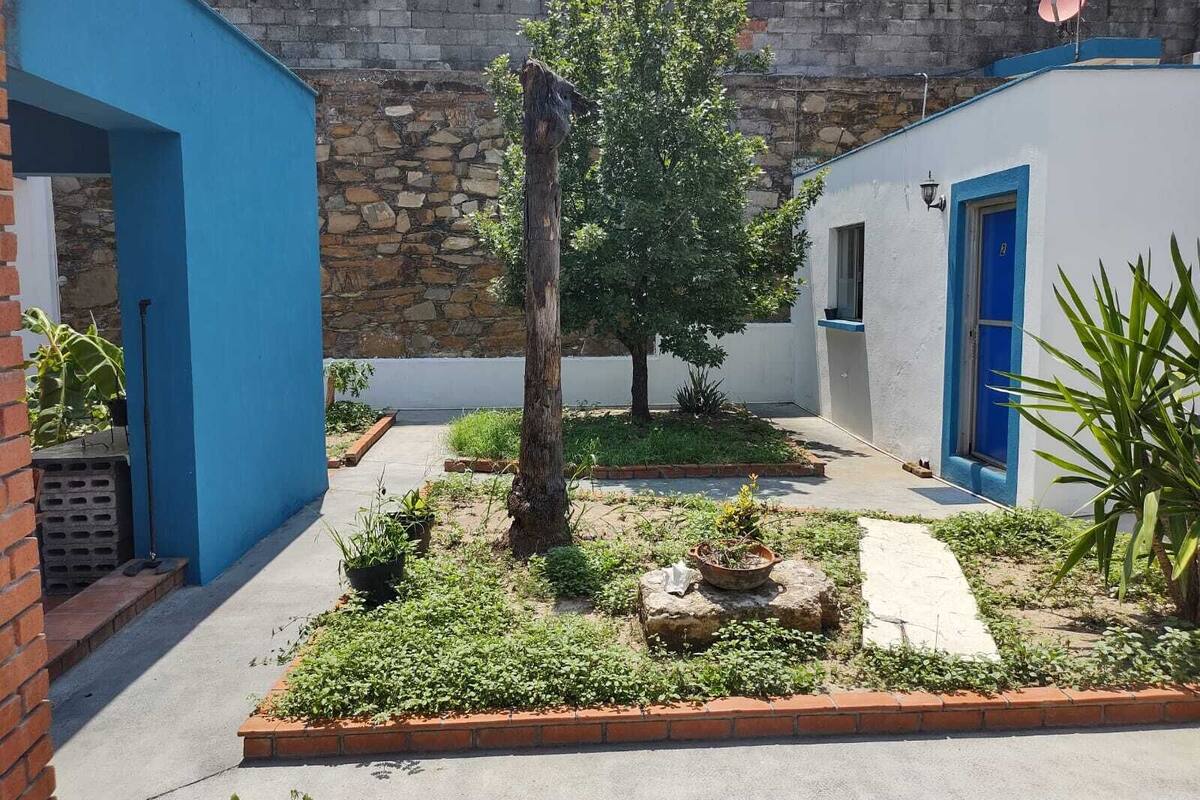 A courtyard with a tree, potted plants, and a stone wall.
