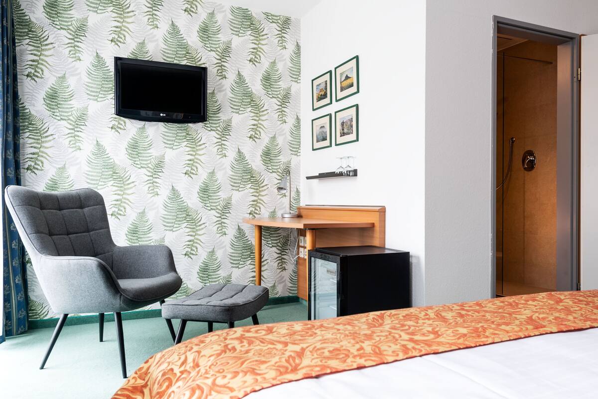 A hotel room with a bed, a desk, a chair, a television, and a shower.