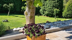 Un jardín con una caja de plantación de madera con flores moradas, un camino de piedra y una zona verde con árboles.