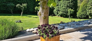 Property grounds - Casa Chelo Alojamientos (Mazaricos)