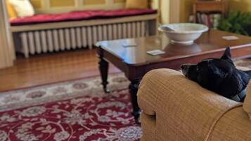 A living room with a sofa, a coffee table, a radiator, a window, and a lamp.