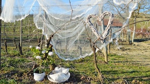 Outdoor wedding area - Bed & Tours (Castelnuovo Belbo)