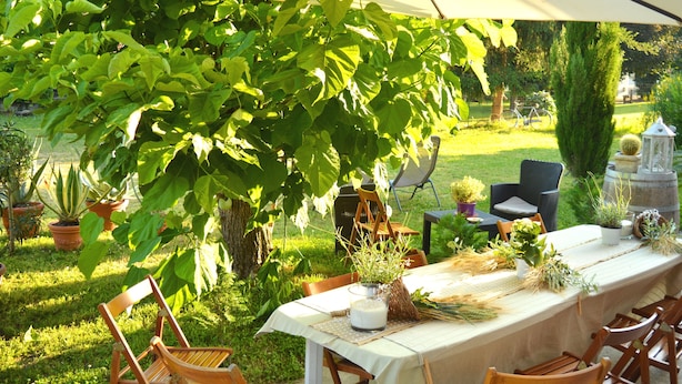 Property grounds - Bed & Tours (Castelnuovo Belbo)