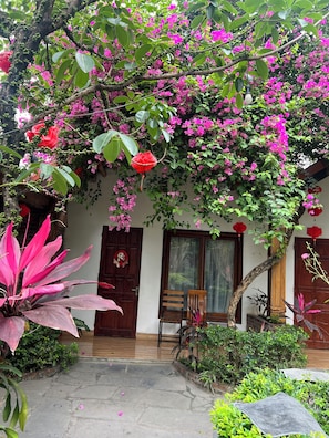 Superior Twin Room | Terrace/patio