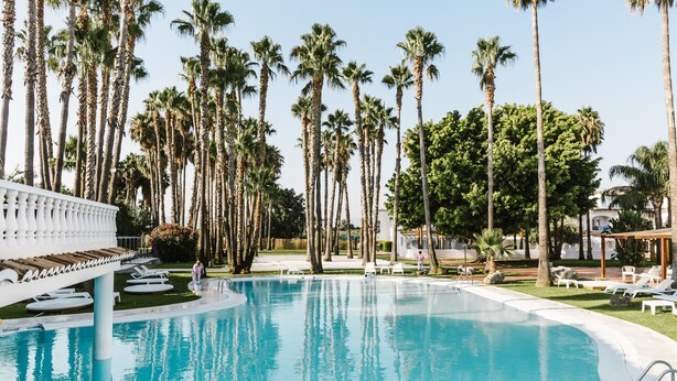 Una piscina rodeada de altas palmeras, con sillones de descanso y una pérgola blanca.