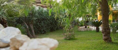 A lush garden with various plants and a stone pathway.
