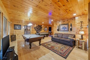 Smart-TV, Kamin, Videospiele, DVD-Player