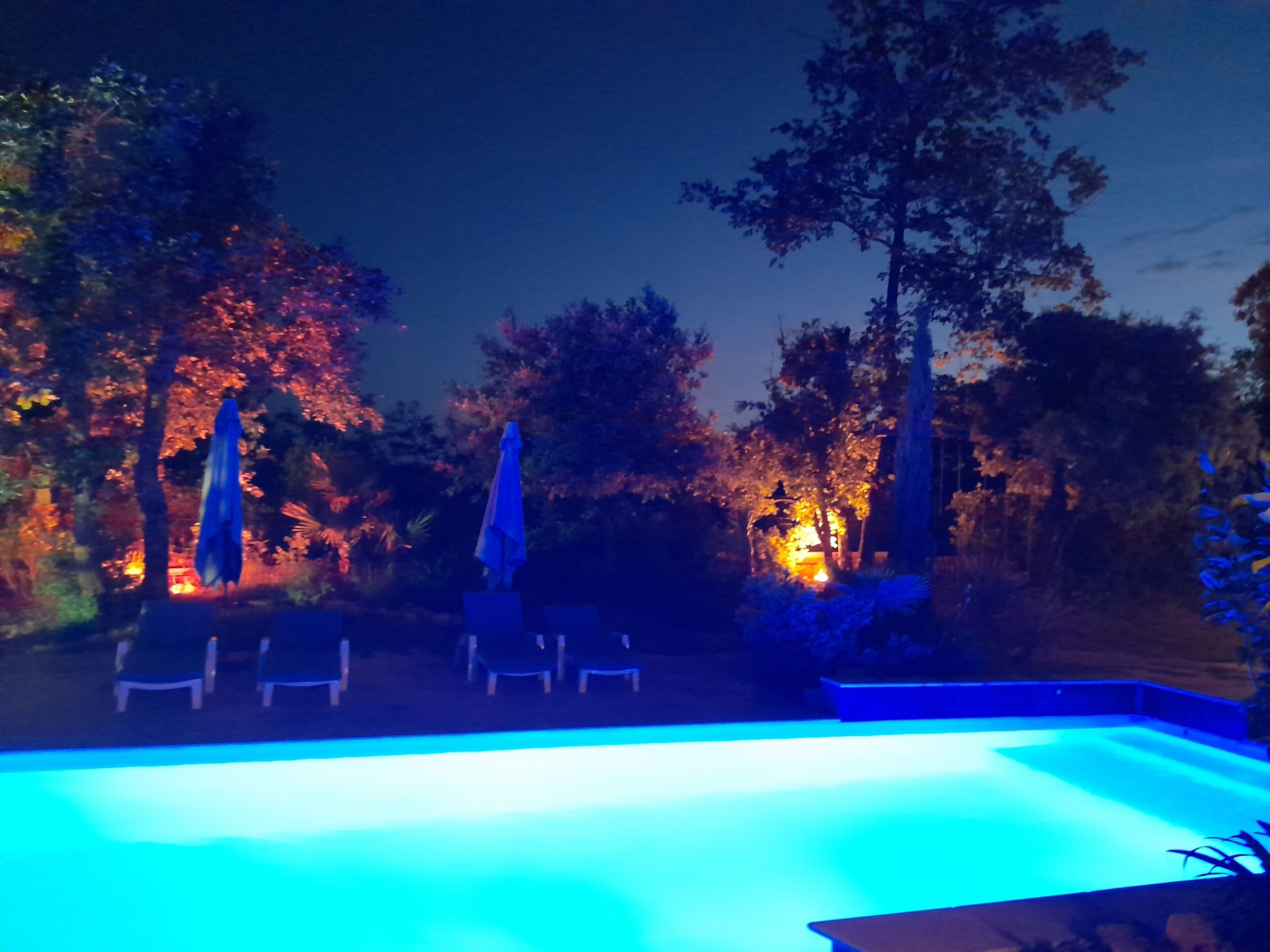 Una piscina iluminada con luces azules, rodeada de árboles y sillas de descanso.