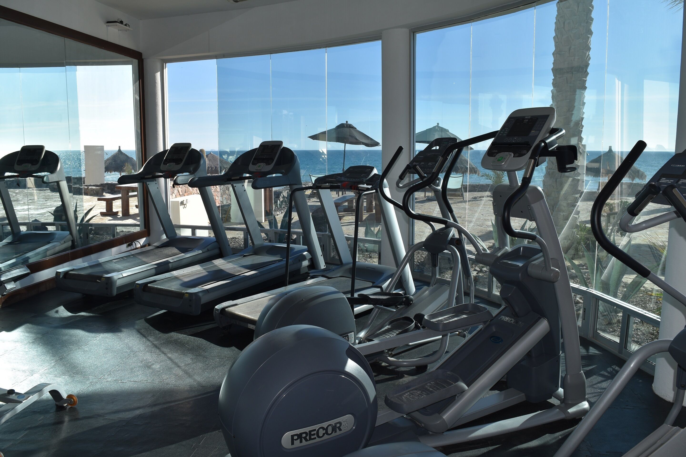 Una palestra con diverse tapis roulant e attrezzature per esercizi, ampie finestre vista mare e palme.