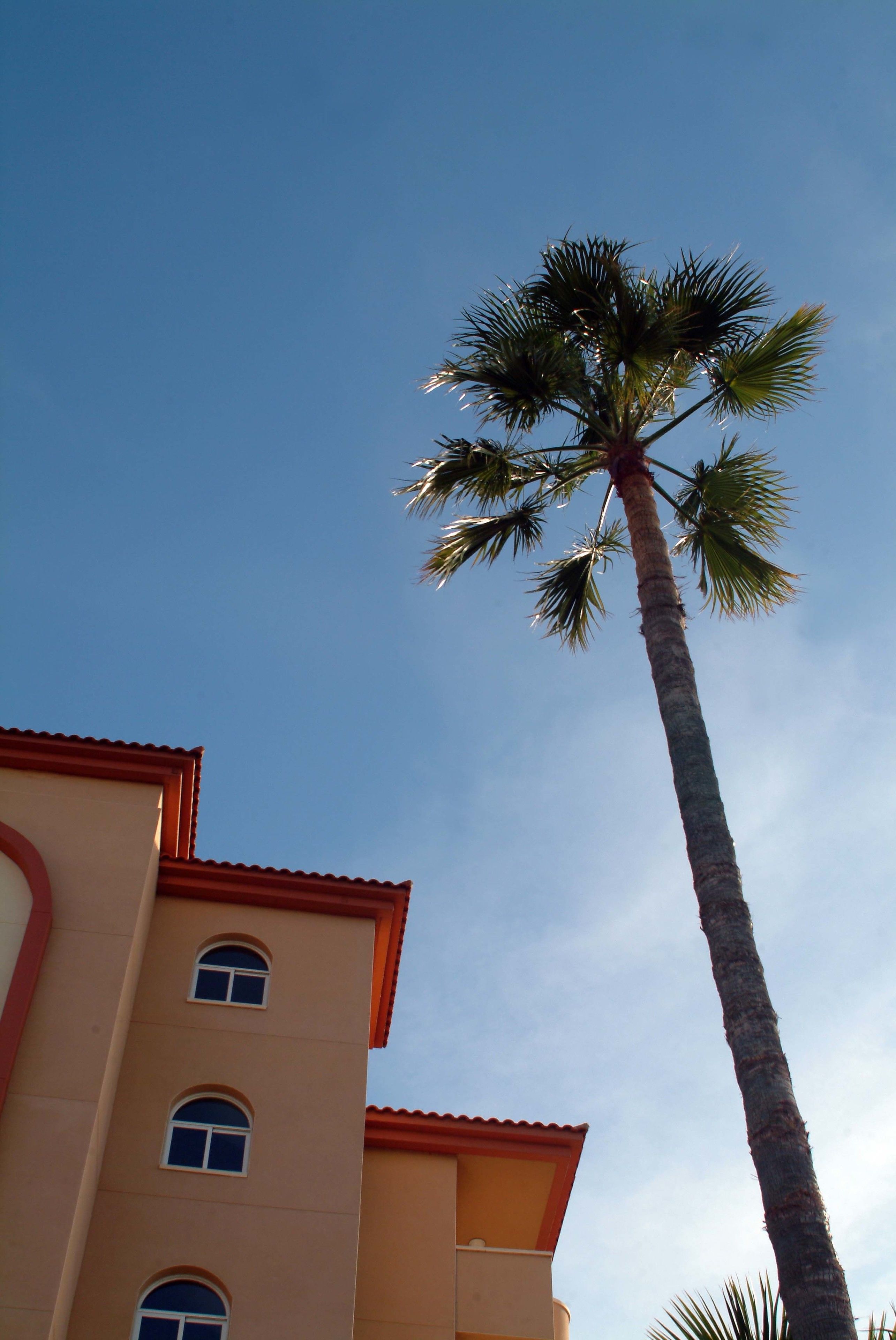 Foto - Ohtels La Hacienda