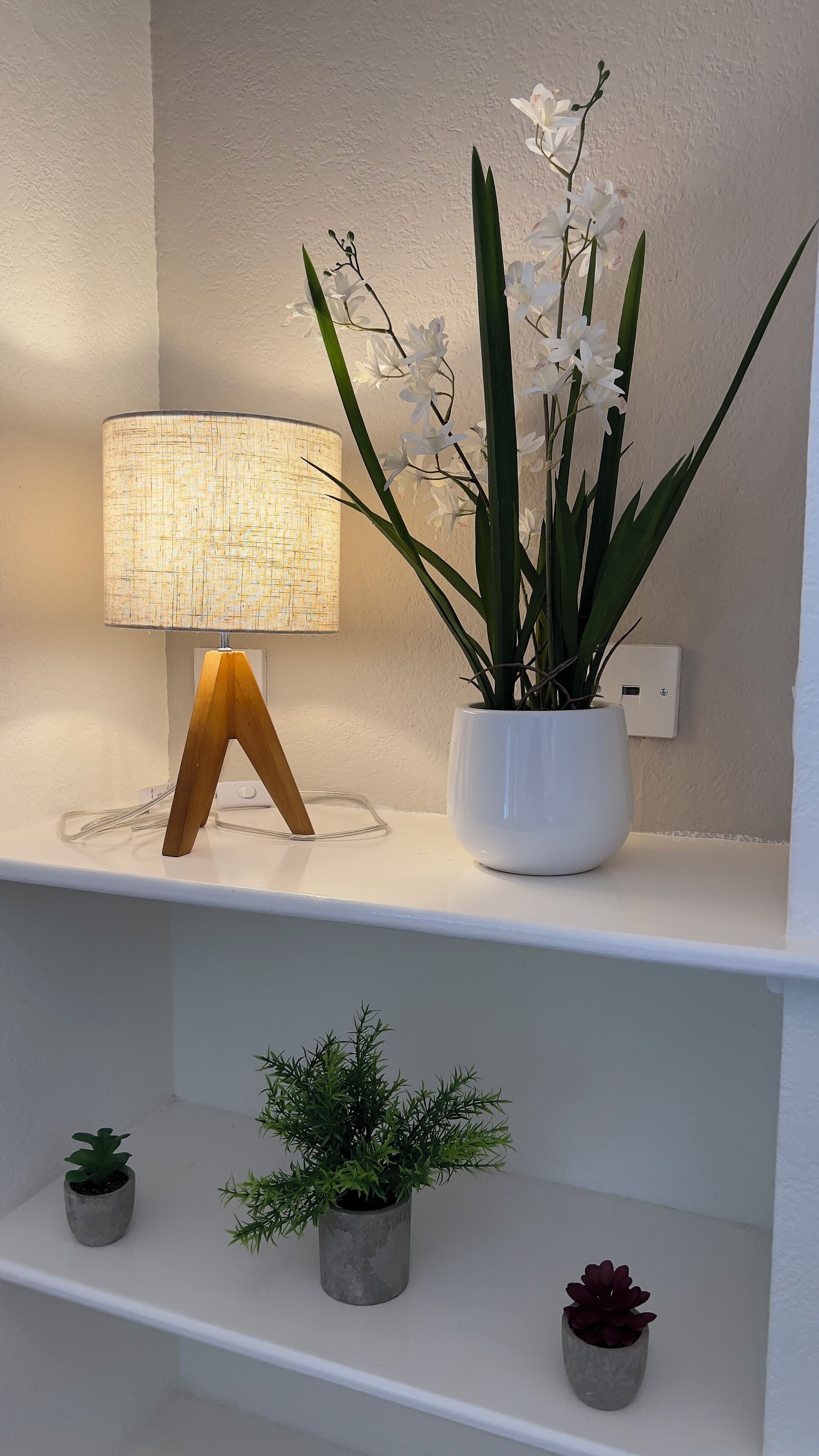 Uno scaffale con una lampada, un'orchidea in vaso e due piante più piccole.