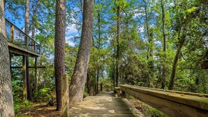 A wooden boardwalk in a forested area with tall trees and a clear sky. - Lakefront “Treehouse”: Private Retreat in the Pines! (Point Blank)