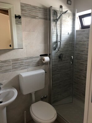 A modern bathroom with a glass shower enclosure, a toilet, a sink, and a toilet paper holder.