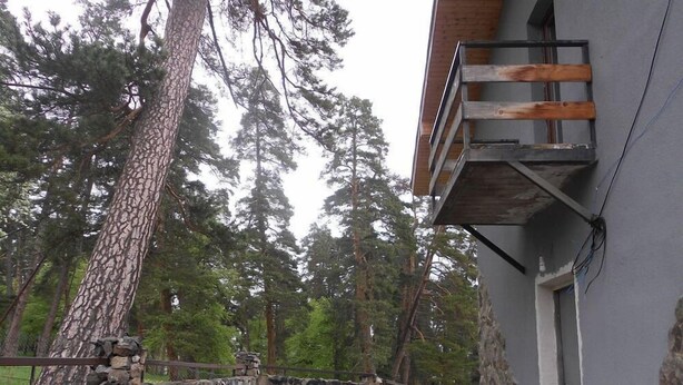 View from property - kotteje bakuriani (Borjomi)
