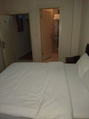 In-room safe, soundproofing, iron/ironing board, free WiFi - Ercan Inn Hotel (Istanbul)