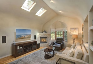 Smart TV, fireplace, books, video library