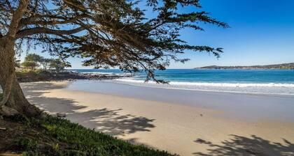 3770 Stone's Throw ~ A Few Openings in August!