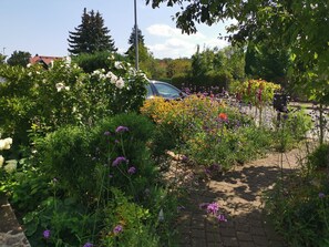 Jardines del alojamiento