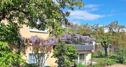 Tipo Maritim - Apartamentos Family Hering